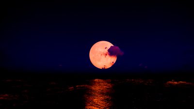 Bad Moon Rising